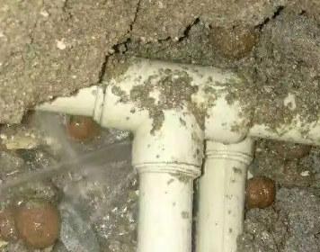 西市测漏水多少钱