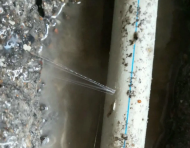 西市测漏水哪家好