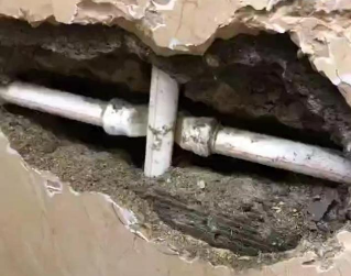 西市测漏水哪家好