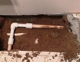 西市测漏水哪家好