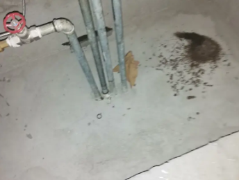 西市卫生间测漏水价格明细