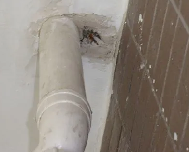 西市漏水检测哪家好